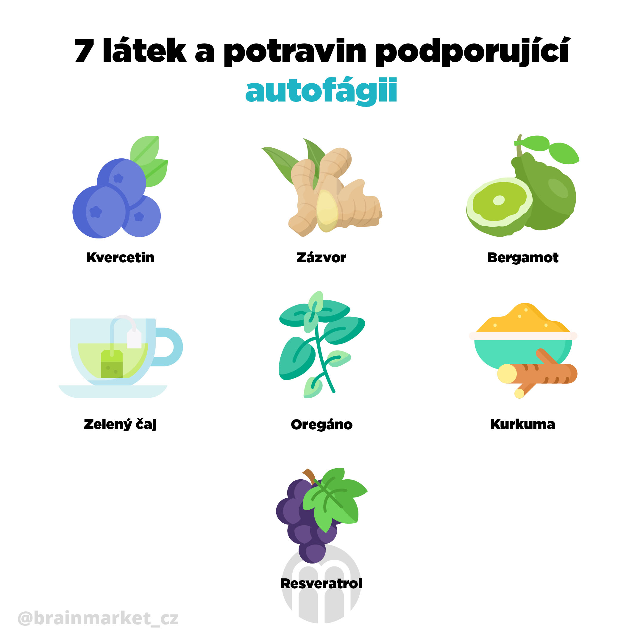 7 latek a potravin pro autofagii infografika brainmarket CZ